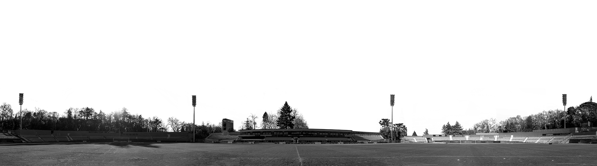 Fontelo